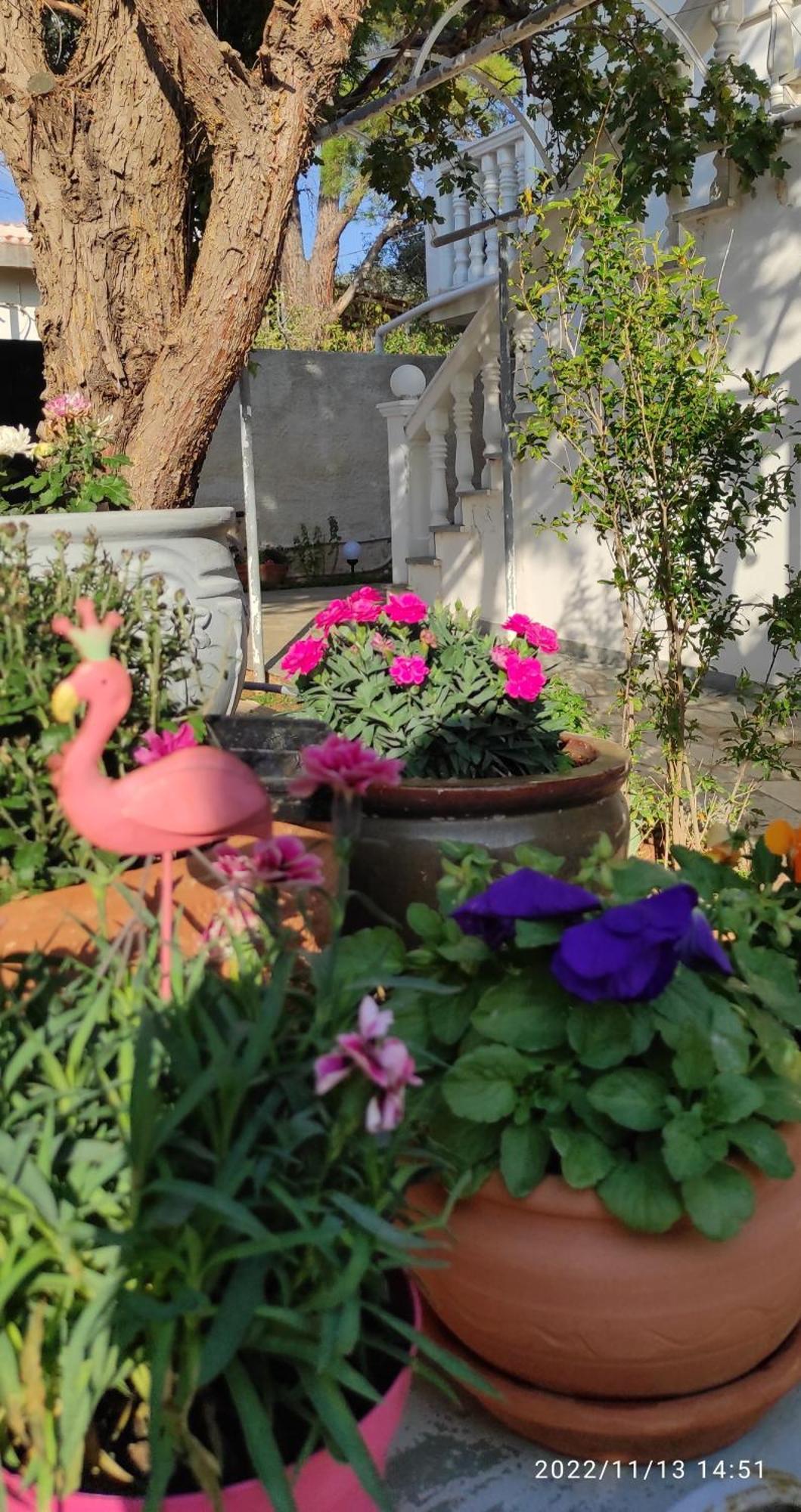 Secret Garden Home Lagonissi Attiki Foinikia  Exterior photo
