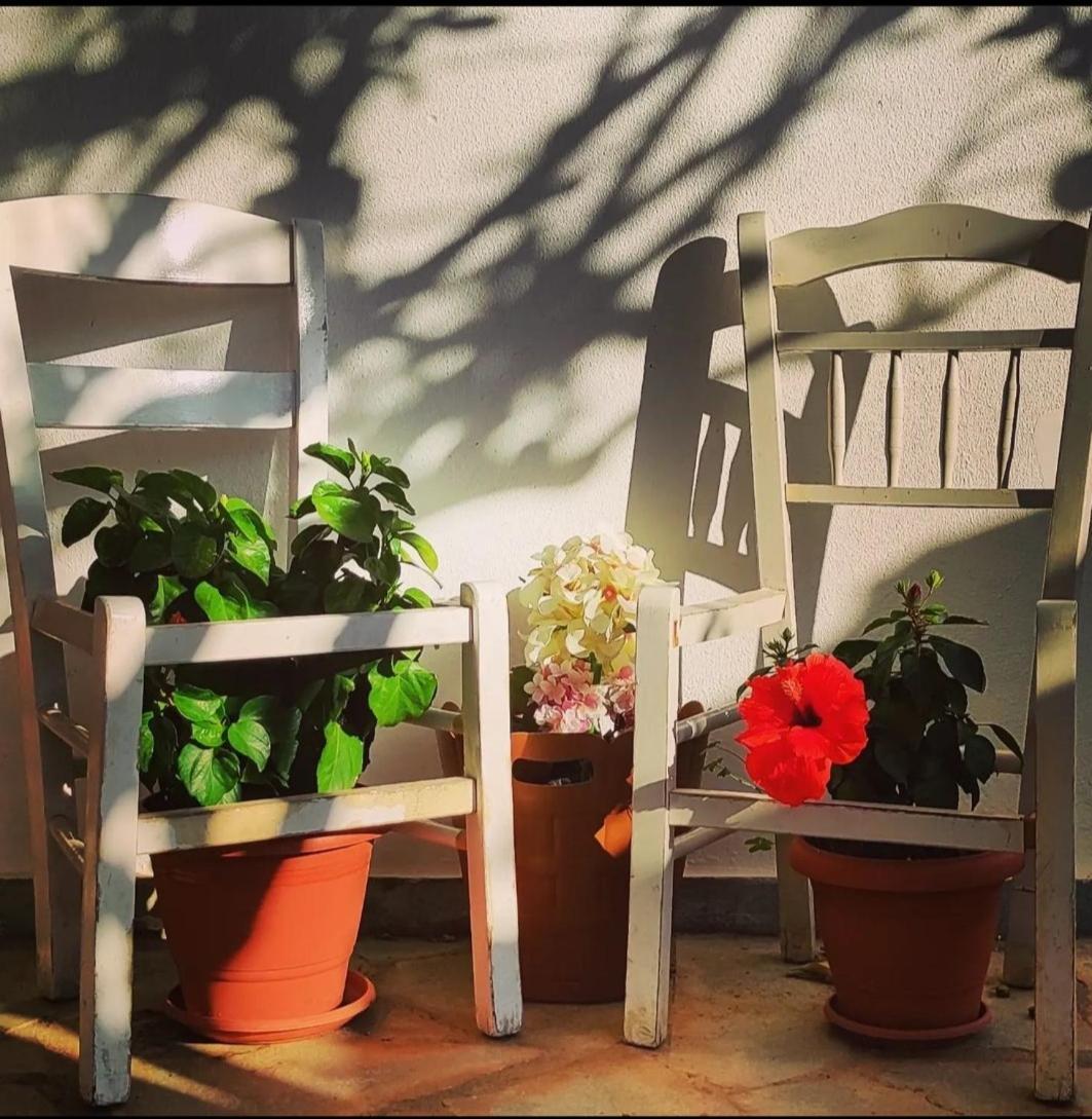 Secret Garden Home Lagonissi Attiki Foinikia  Exterior photo
